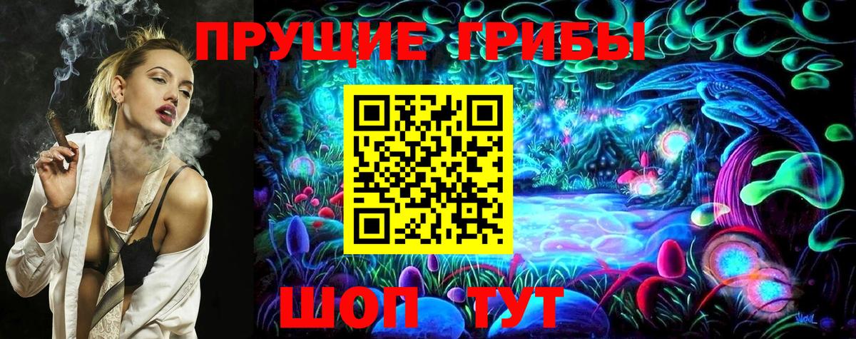 Псилоцибиновые грибы Cubensis Свободный