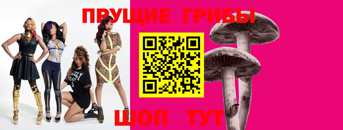 Свободный  Псилоцибиновые грибы мицелий  Вход с VPN 